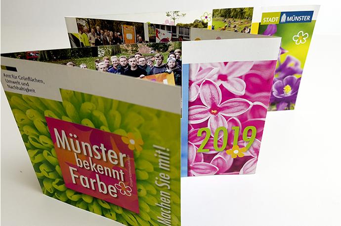 Folder "Münster bekennt Farbe" 2019