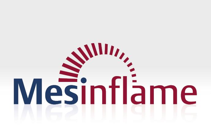 Logo für das IMM-Forschungsprojekt Mesinflame